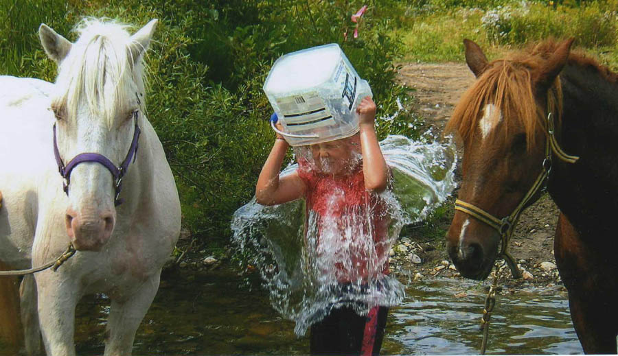 American Bashkir Curly Horse
